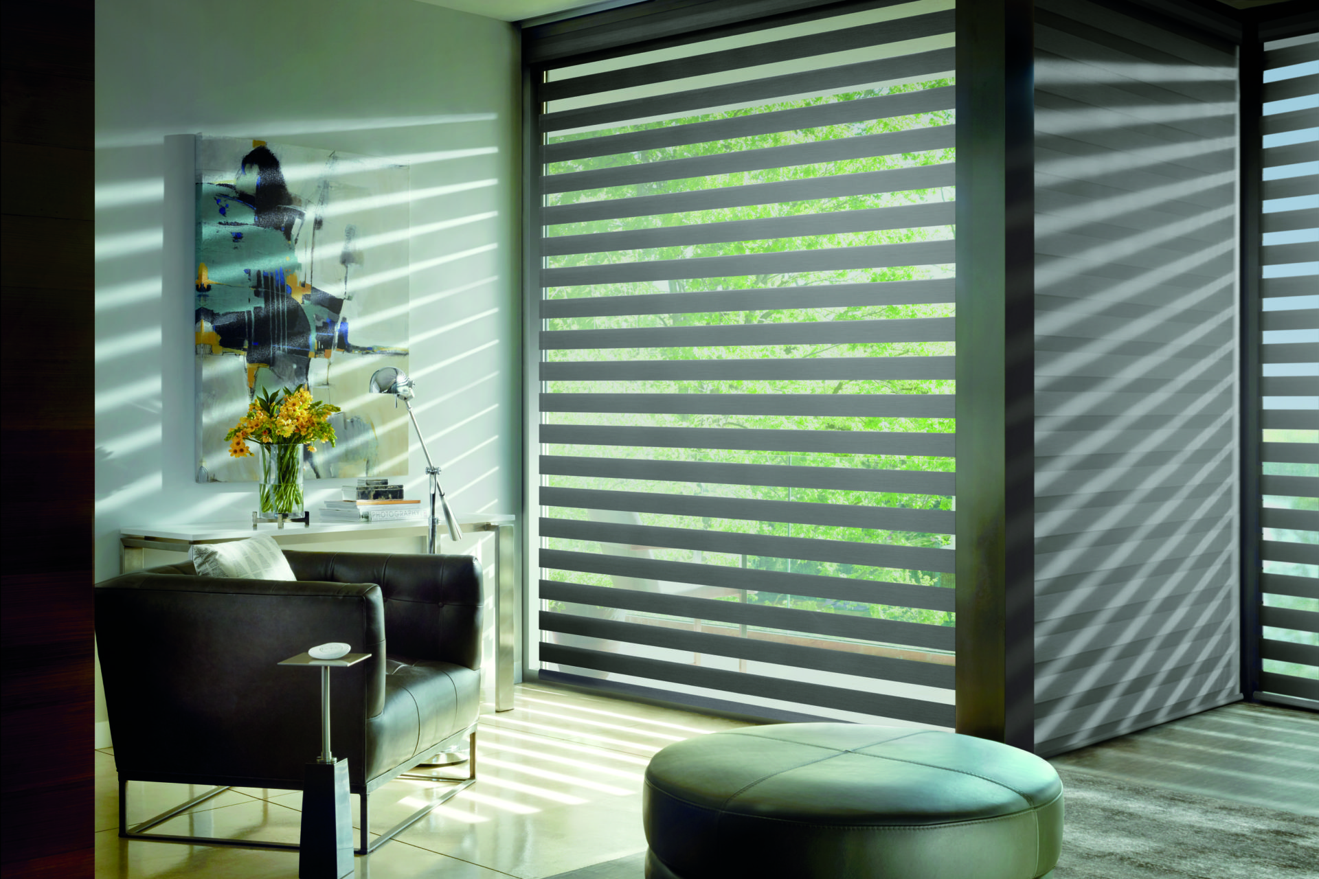 Hunter Douglas Designer Banded Shades Austintatious